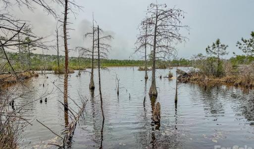 Photo #22 of Lobelia, Vass, NC