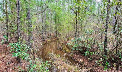Photo #24 of Lobelia, Vass, NC