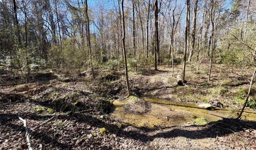 Photo #1 of 1417 Ellis Griffin, Wingate, NC