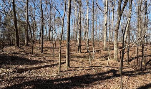 Photo #6 of 1417 Ellis Griffin, Wingate, NC