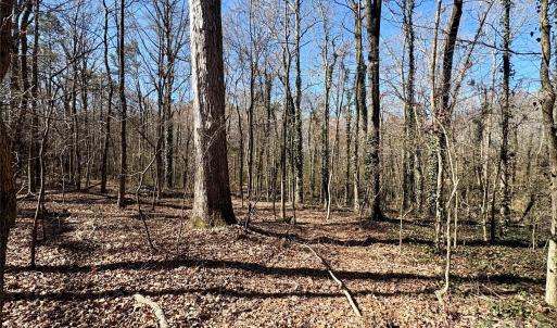 Photo #2 of 1417 Ellis Griffin, Wingate, NC