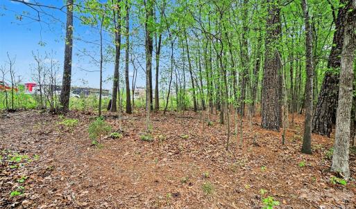 Photo #25 of Leewood, Monroe, NC