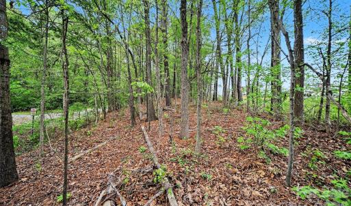 Photo #17 of Leewood, Monroe, NC