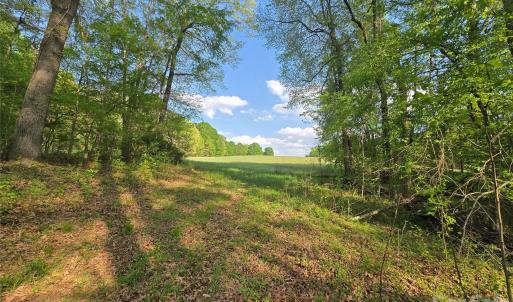 Photo #4 of NC 801, Mt Ulla, NC