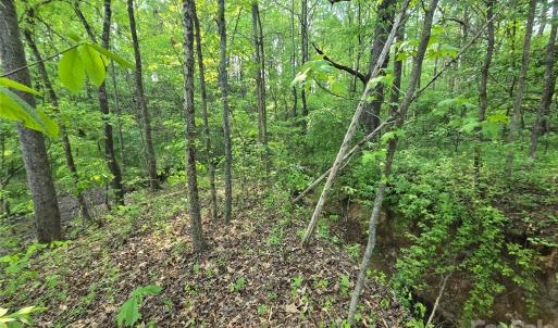 Photo #6 of NC 801, Mt Ulla, NC