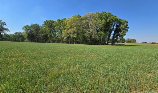 Photo #7 of NC 801, Mt Ulla, NC