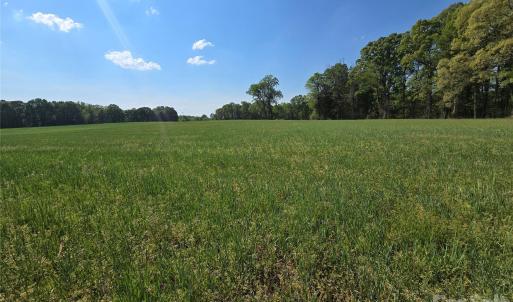 Photo #3 of NC 801, Mt Ulla, NC