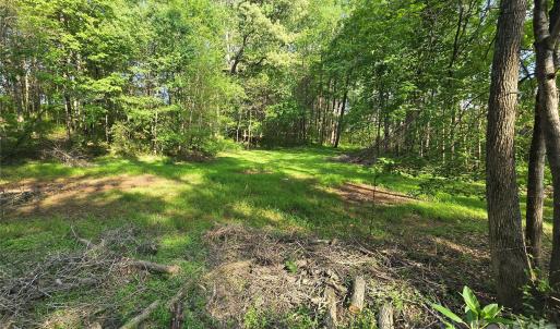 Photo #9 of NC 801, Mt Ulla, NC