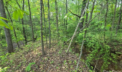 Photo #6 of NC 801, Mt Ulla, NC