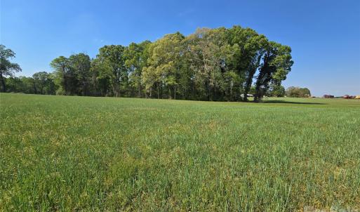 Photo #7 of NC 801, Mt Ulla, NC