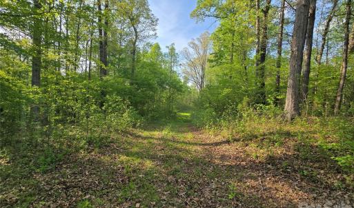 Photo #11 of NC 801, Mt Ulla, NC