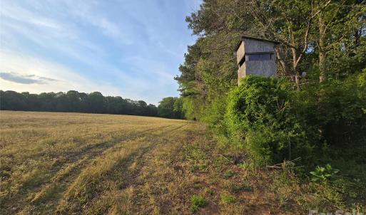 Photo #13 of Ketchie, Mt Ulla, NC