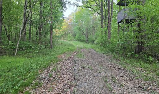 Photo #18 of Ketchie, Mt Ulla, NC