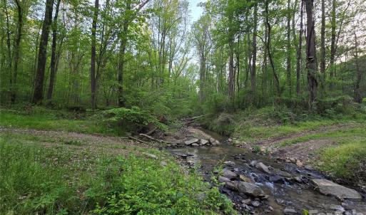 Photo #7 of Ketchie, Mt Ulla, NC