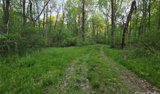 Photo #17 of Ketchie, Mt Ulla, NC