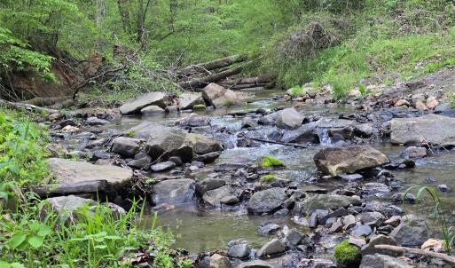 Photo #6 of Ketchie, Mt Ulla, NC