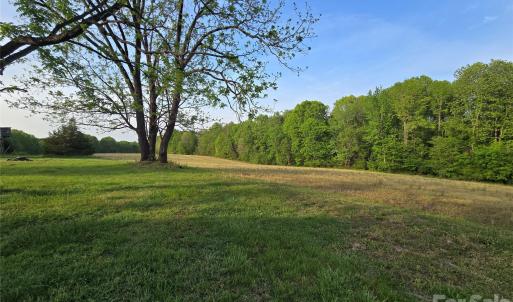 Photo #4 of Ketchie, Mt Ulla, NC