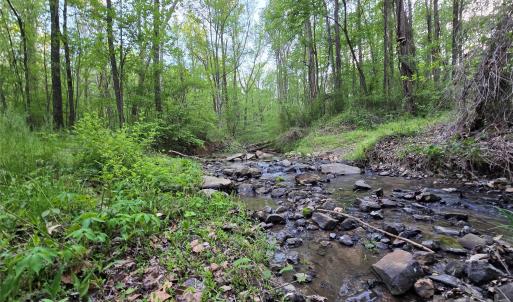 Photo #8 of Ketchie, Mt Ulla, NC