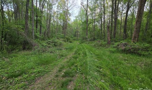 Photo #16 of Ketchie, Mt Ulla, NC