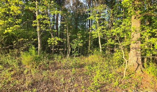 Photo #15 of Ketchie, Mt Ulla, NC