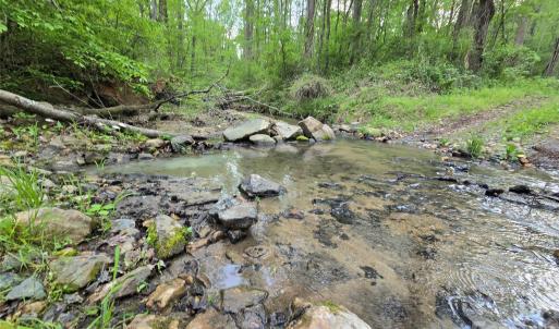 Photo #5 of Ketchie, Mt Ulla, NC