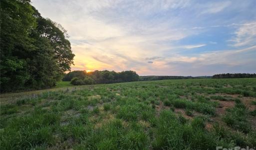 Photo #10 of Ketchie, Mt Ulla, NC