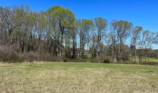 Photo #7 of Fairhope, York, SC