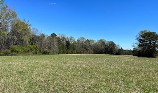 Photo #8 of Fairhope, York, SC