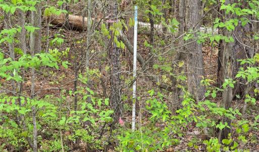 Photo #5 of 3121 Cold Springs, Concord, NC