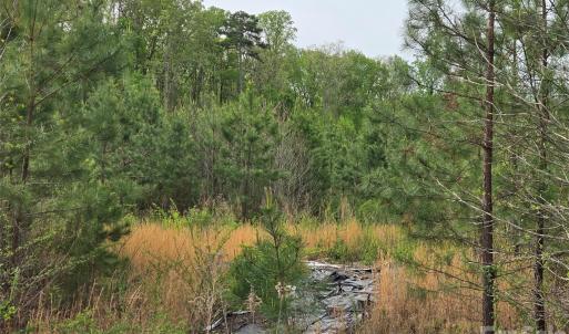 Photo #7 of 3121 Cold Springs, Concord, NC