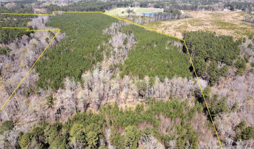 Photo #2 of 01 Collins Mountain, Chapel Hill, NC