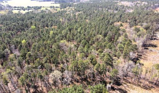 Photo #13 of 01 Collins Mountain, Chapel Hill, NC