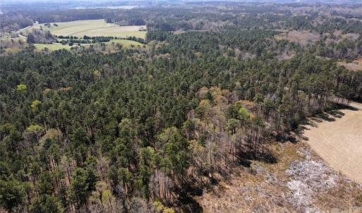 Photo #17 of 01 Collins Mountain, Chapel Hill, NC