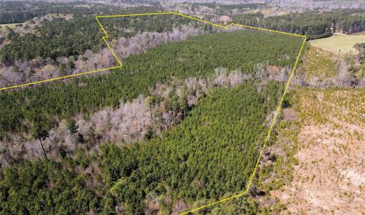 Photo #6 of 01 Collins Mountain, Chapel Hill, NC