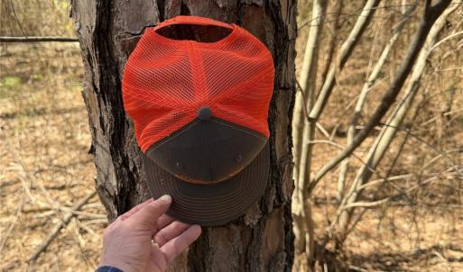 Photo #23 of 01 Collins Mountain, Chapel Hill, NC