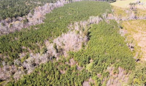 Photo #5 of 01 Collins Mountain, Chapel Hill, NC