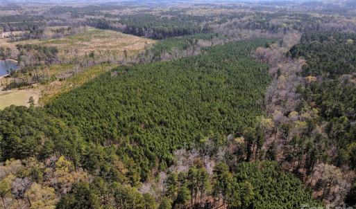 Photo #16 of 01 Collins Mountain, Chapel Hill, NC