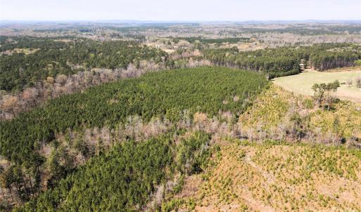 Photo #8 of 01 Collins Mountain, Chapel Hill, NC