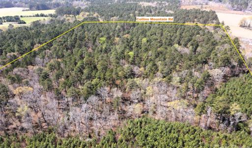 Photo #11 of 01 Collins Mountain, Chapel Hill, NC