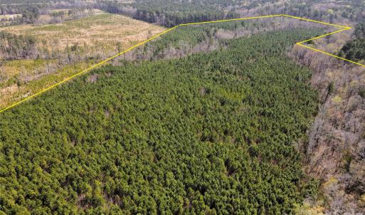 Photo #12 of 01 Collins Mountain, Chapel Hill, NC