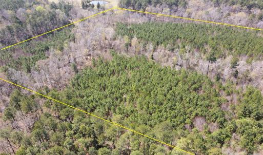 Photo #7 of 01 Collins Mountain, Chapel Hill, NC