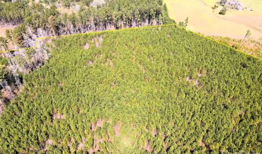 Photo #10 of 01 Collins Mountain, Chapel Hill, NC