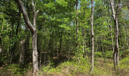 Photo #4 of 6515 Wolf Pond, Monroe, NC