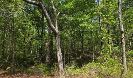 Photo #3 of 6515 Wolf Pond, Monroe, NC