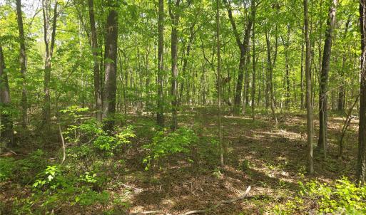 Photo #8 of Lot 5 Wolf Pond, Monroe, NC