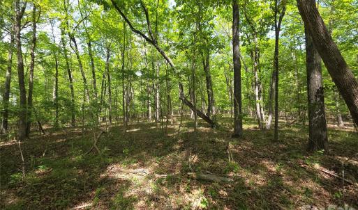 Photo #6 of Lot 5 Wolf Pond, Monroe, NC