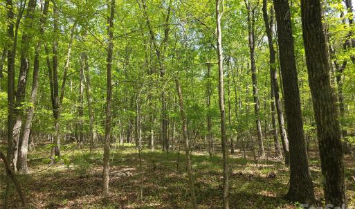 Photo #2 of Lot 5 Wolf Pond, Monroe, NC