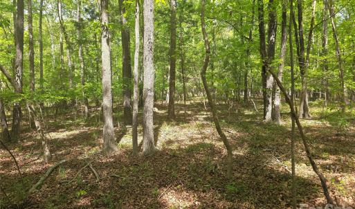 Photo #5 of Lot 5 Wolf Pond, Monroe, NC