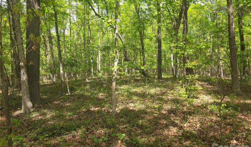 Photo #7 of Lot 5 Wolf Pond, Monroe, NC