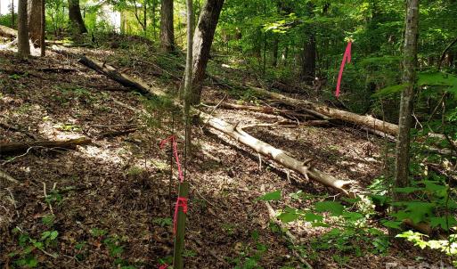 Photo #20 of 952 Oak, Rock Hill, SC